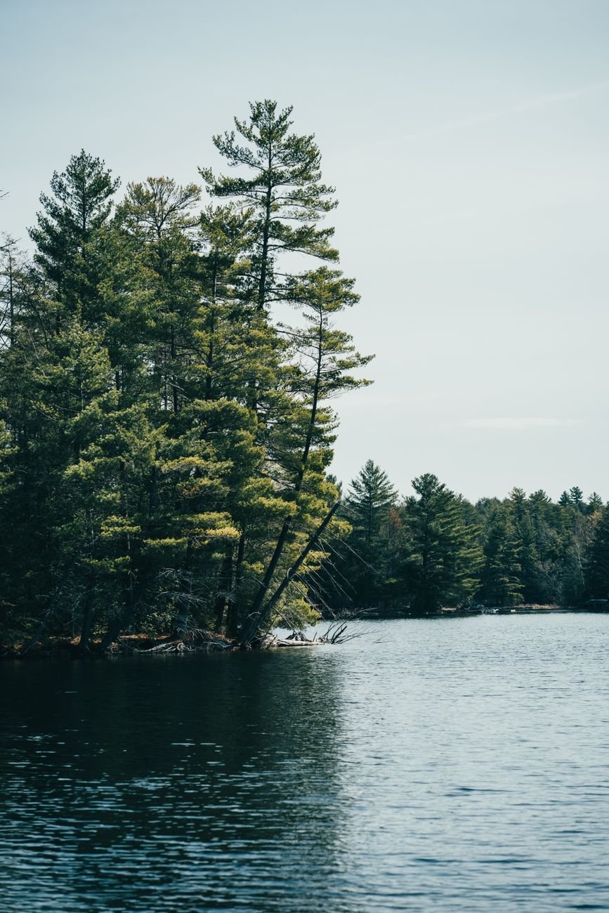 the shoreline of Mountain Island Lake at Latta Nature Preserve