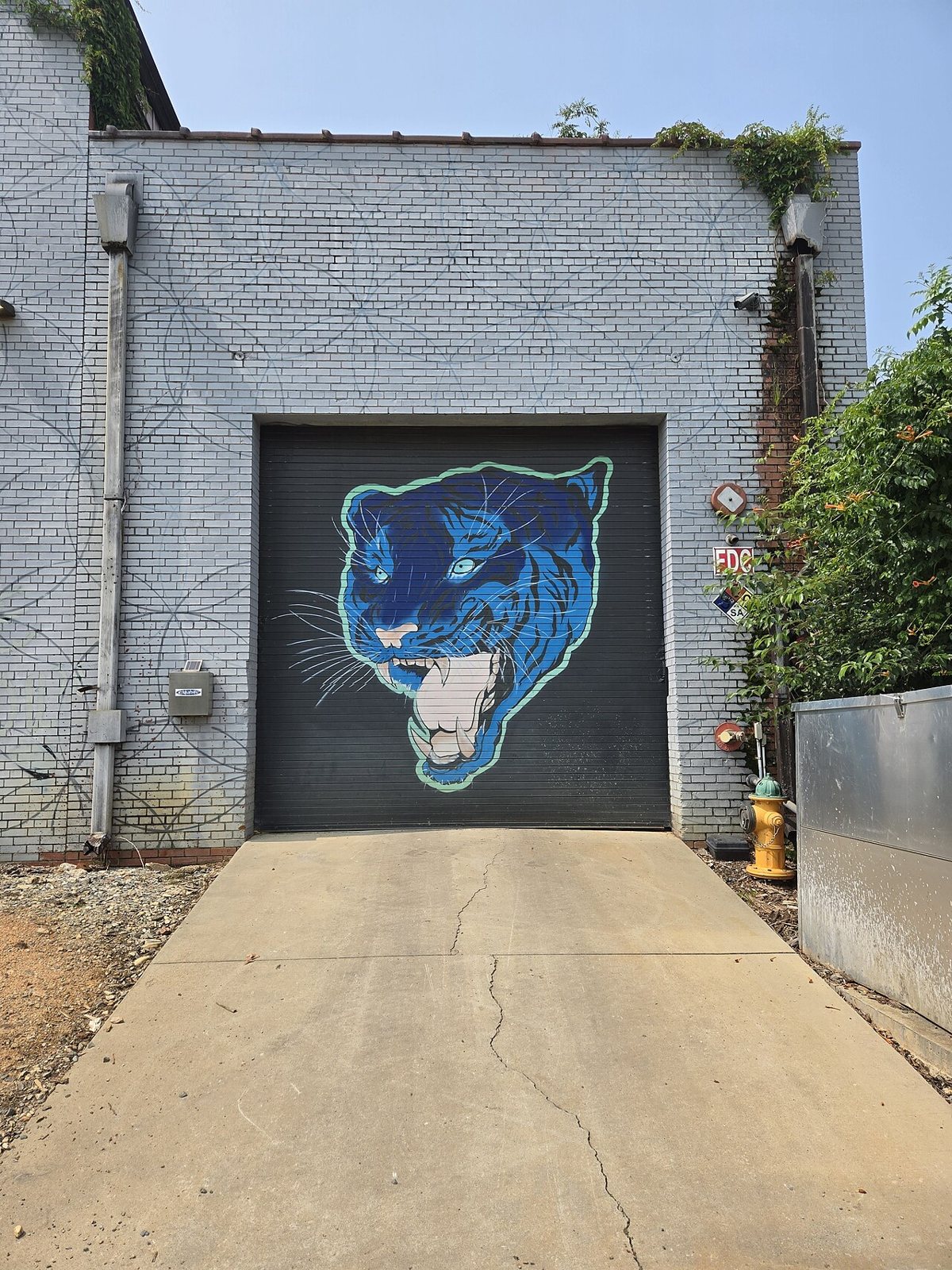 couple walking past colorful murals at Camp North End