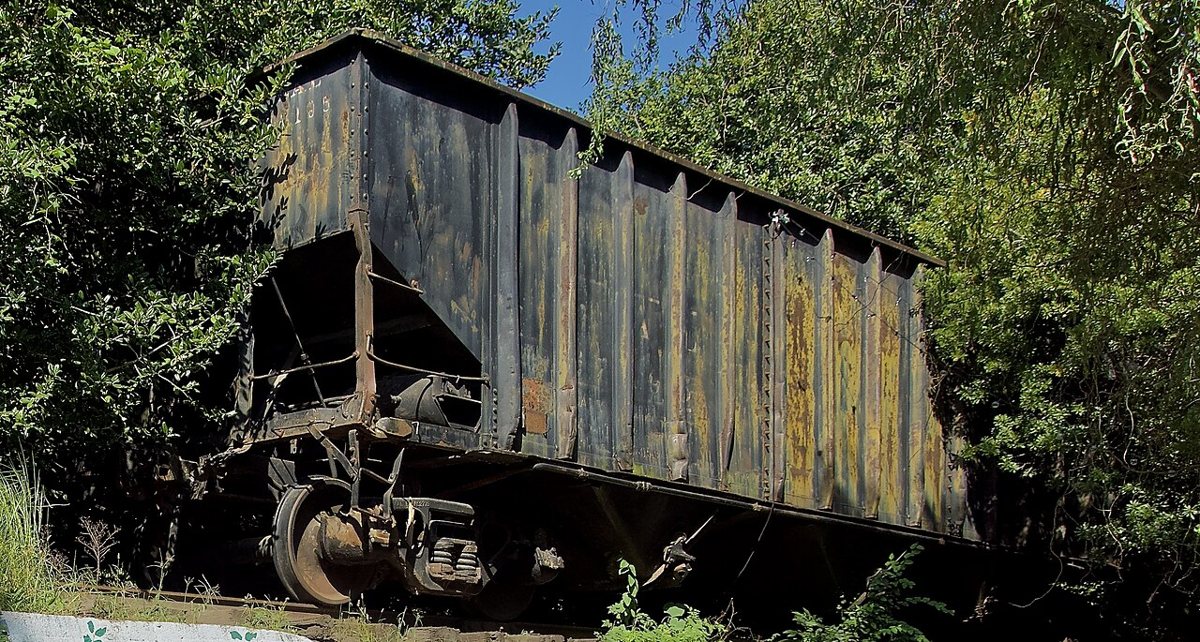 an old rail car set among the greenery at McGill Rose Garden in Charlotte's Elizabeth neighborhood